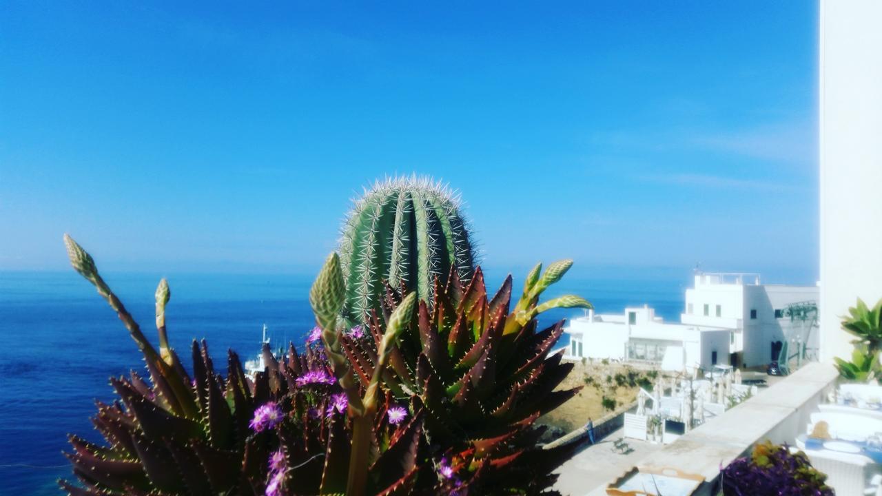 B&B Punta Cutieri Gallipoli Ngoại thất bức ảnh