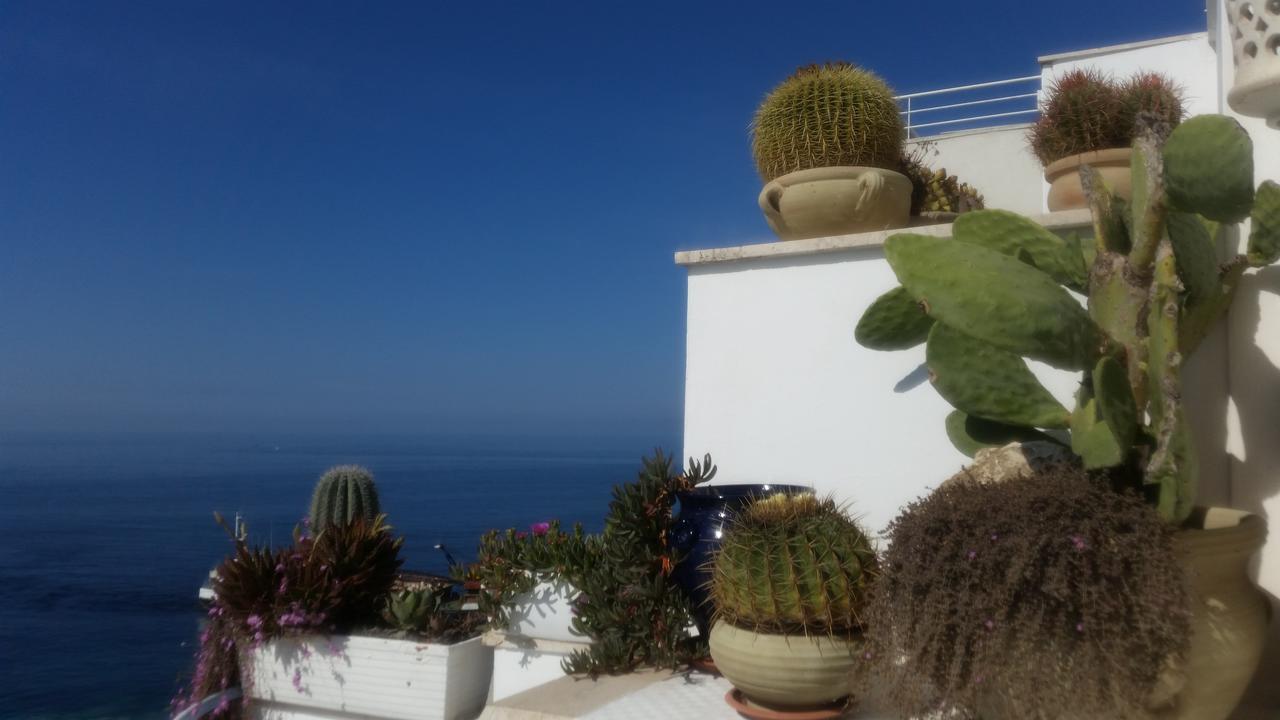 B&B Punta Cutieri Gallipoli Ngoại thất bức ảnh